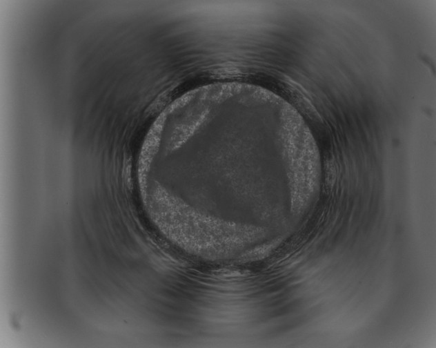 X0000091670267200709201225