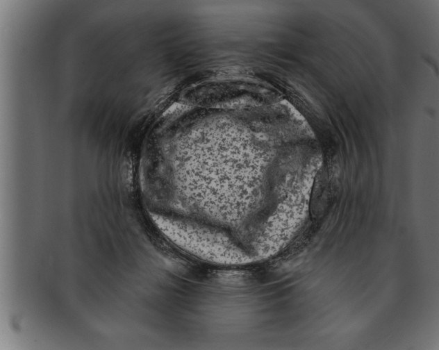 X0000091670268200709201225