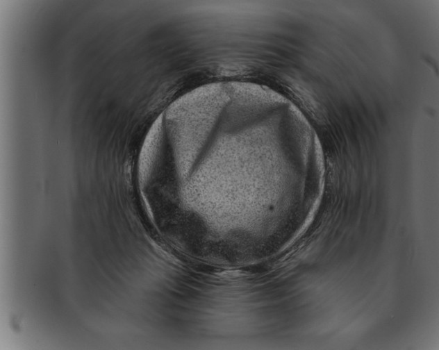 X0000091670269200709201225