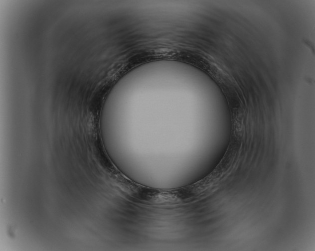 X0000091670270200709201225