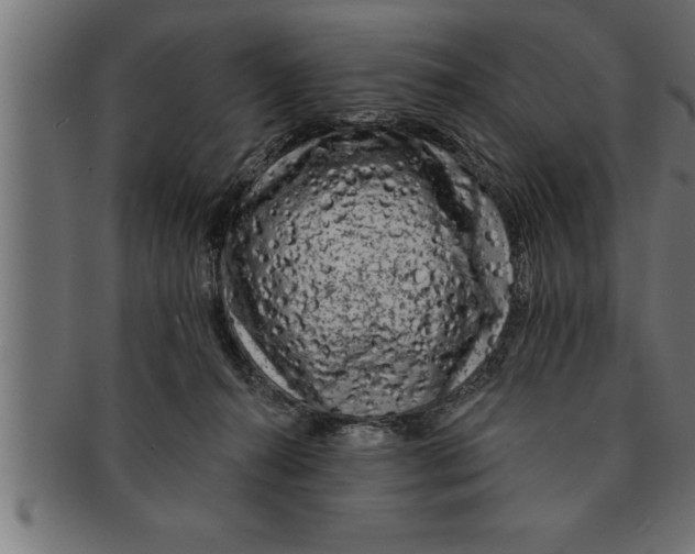 X0000091670272200709201225