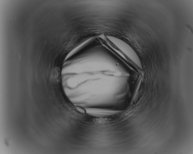 X0000091670273200709201225