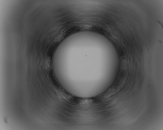 X0000091670274200709201225