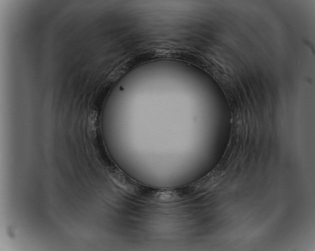 X0000091670275200709201225