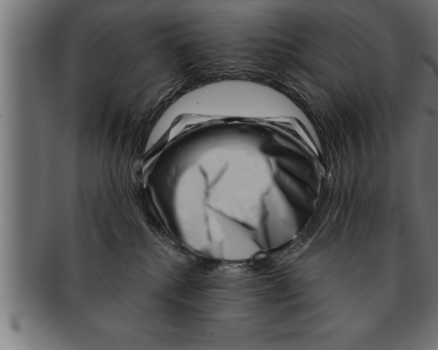 X0000091670280200709201225