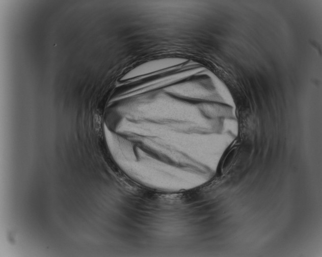 X0000091670281200709201225