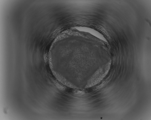 X0000091670285200709201225