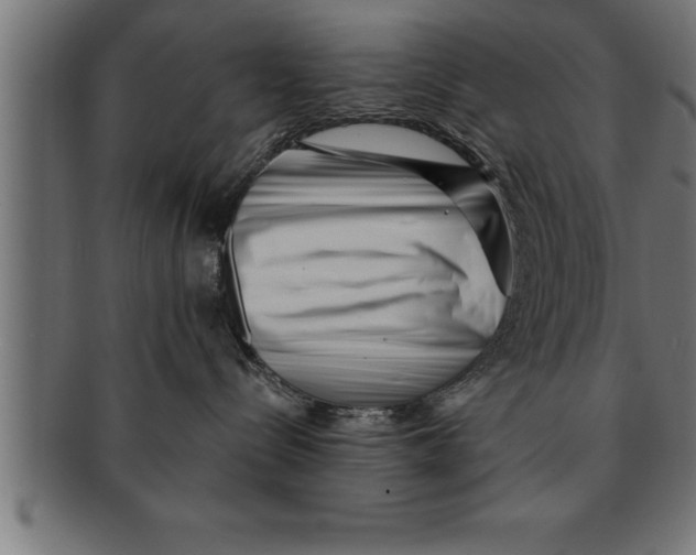 X0000091670288200709201225