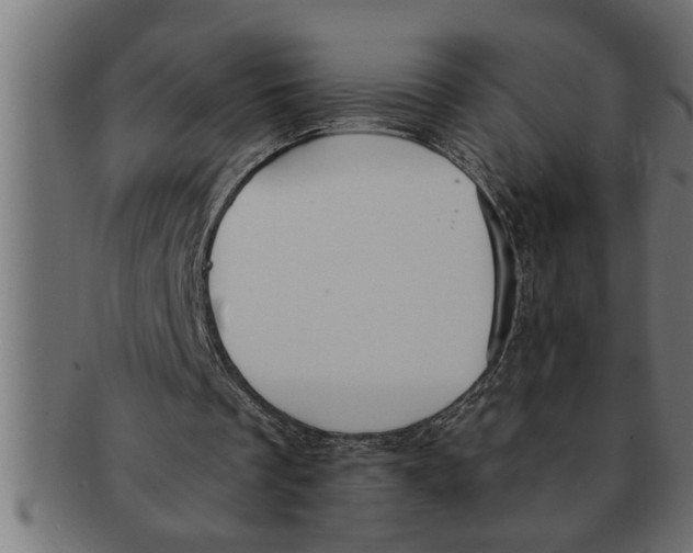 X0000091670289200709201225