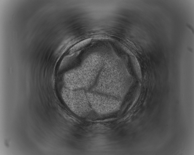 X0000091670290200709201225