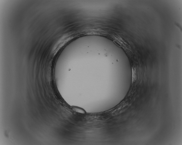 X0000091670291200709201225