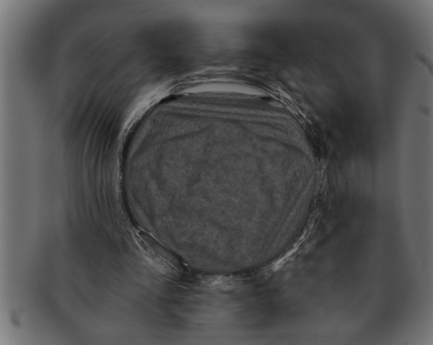 X0000091670293200709201225