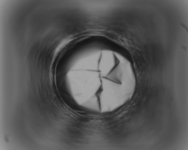 X0000091670294200709201225