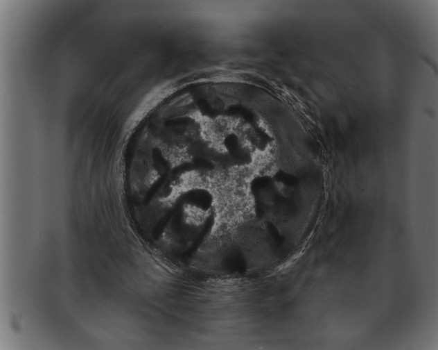 X0000091670295200709201225