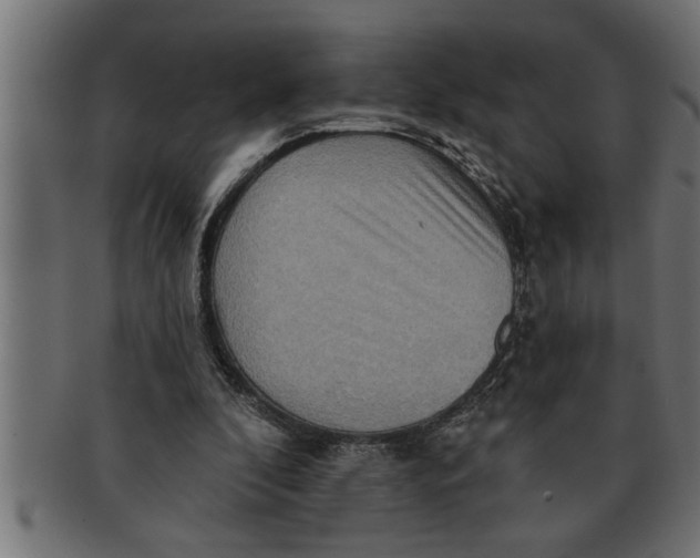 X0000091670296200709201225