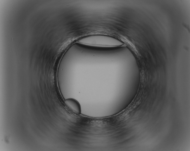 X0000091670298200709201225