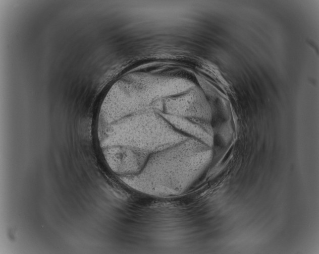 X0000091670299200709201225