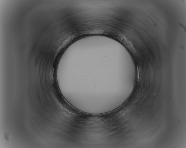 X0000091670300200709201225