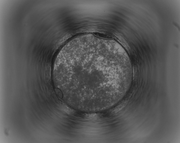 X0000091670301200709201225