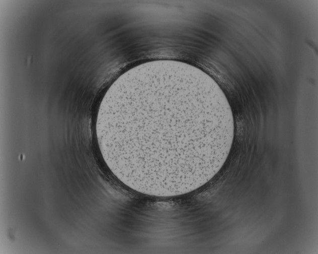 X0000091670302200709201225