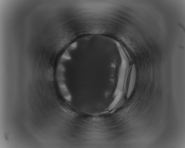 X0000091670303200709201225