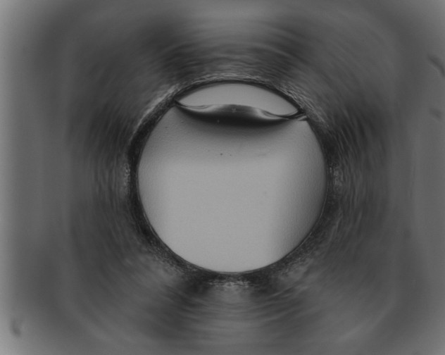 X0000091670304200709201225