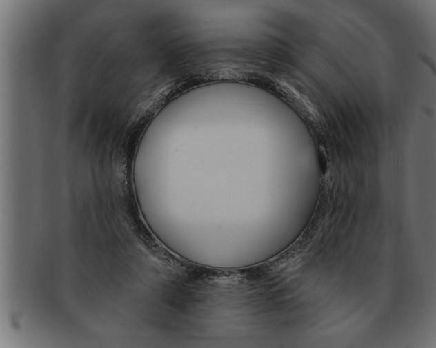 X0000091670306200709201225