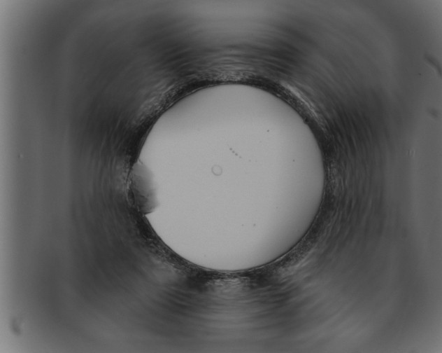 X0000091670307200709201225