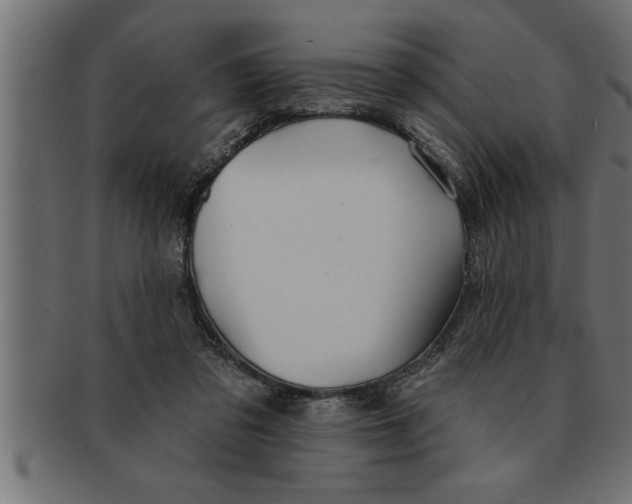 X0000091670309200709201225