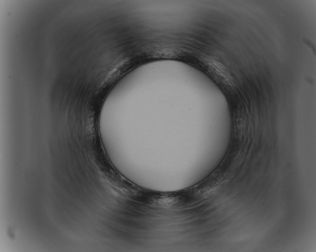 X0000091670312200709201224