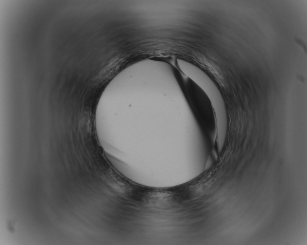 X0000091670313200709201224