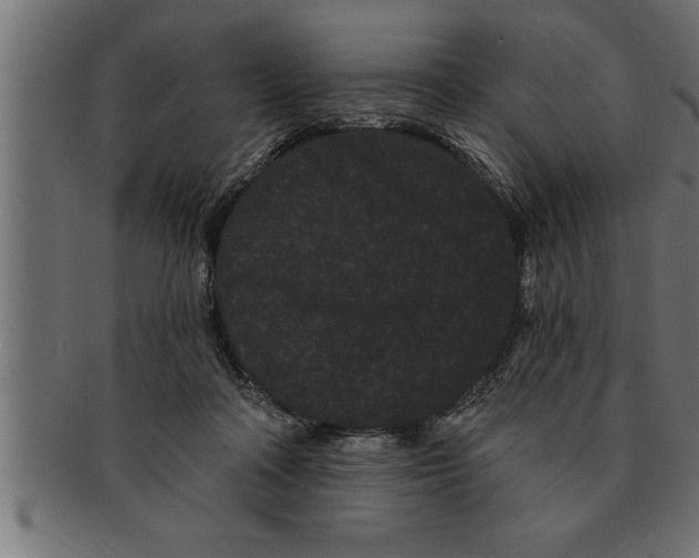 X0000091670314200709201224