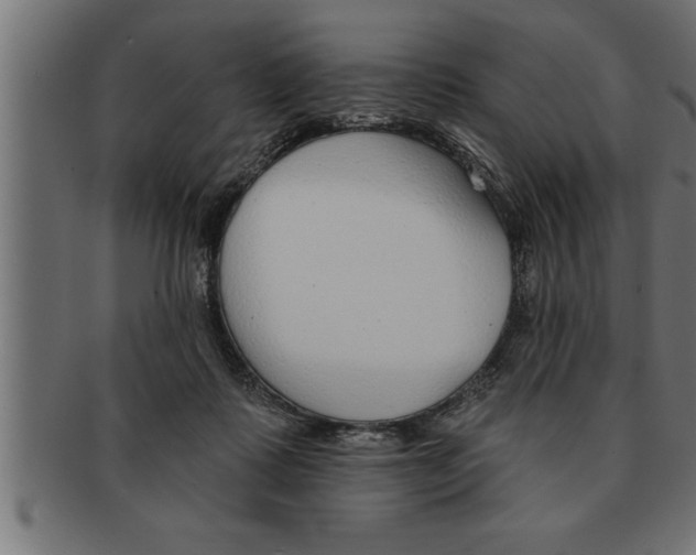 X0000091670315200709201224