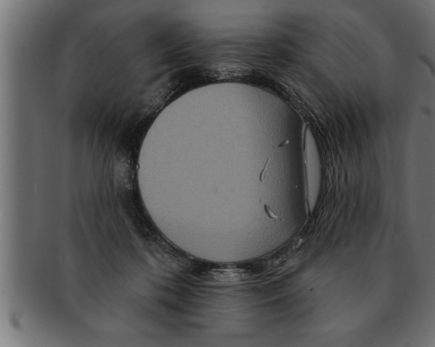 X0000091670316200709201224