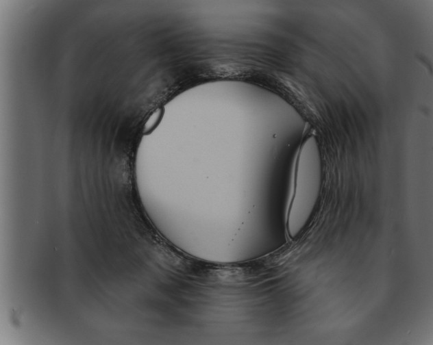 X0000091670317200709201224