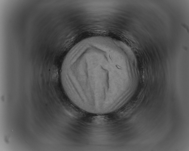 X0000091670320200709201224