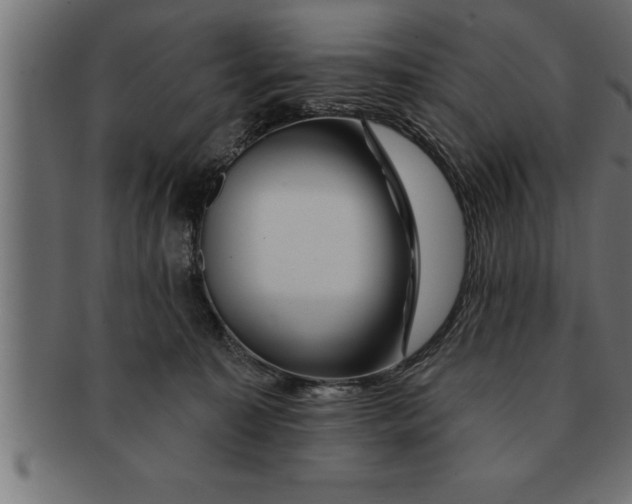 X0000091670323200709201224