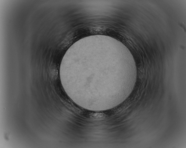 X0000091670324200709201224