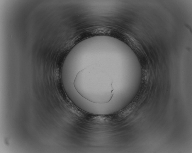 X0000091670326200709201224