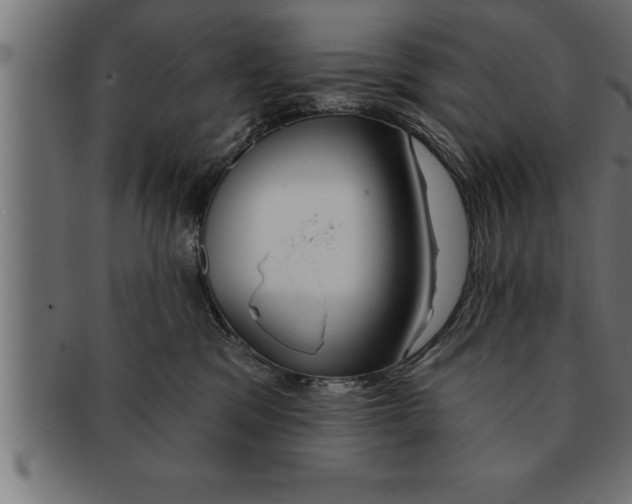 X0000091670329200709201224