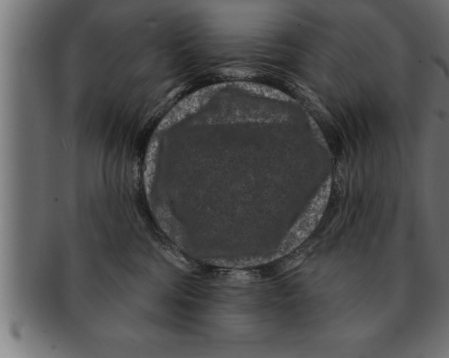 X0000091670330200709201224