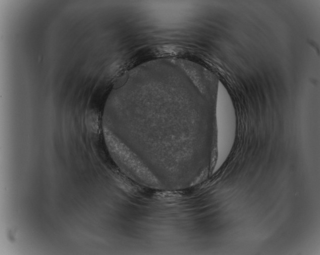 X0000091670331200709201224