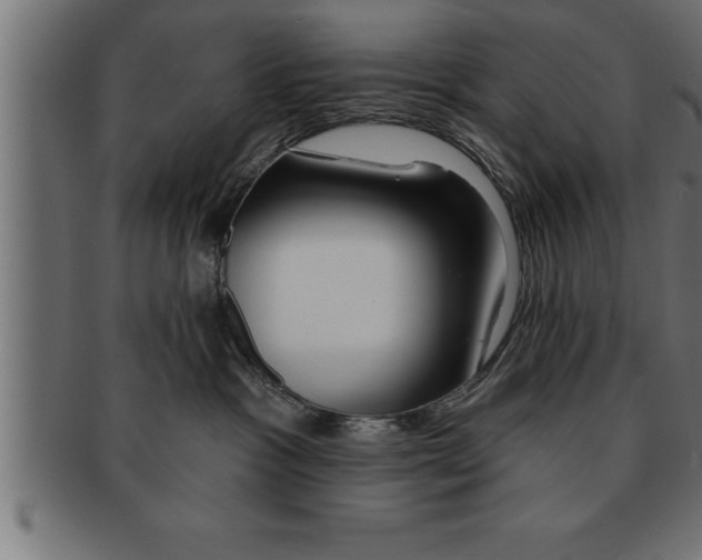 X0000091670333200709201224