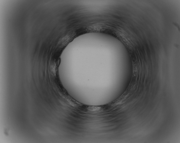 X0000091670334200709201224