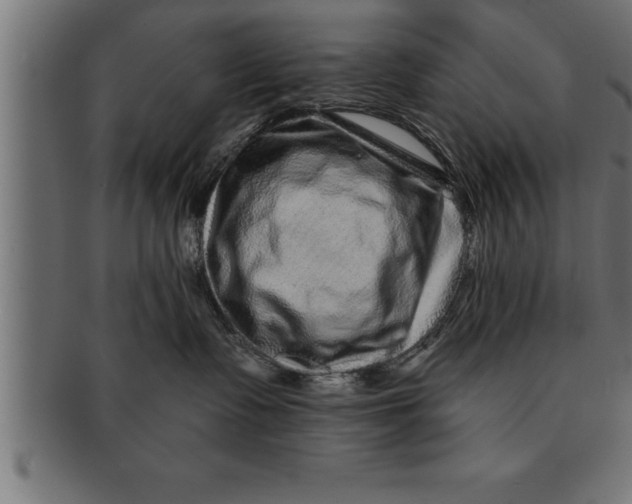 X0000091670335200709201224