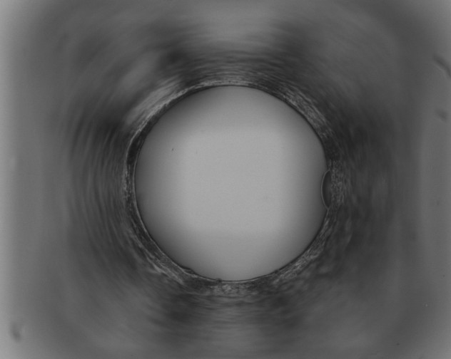 X0000091670338200709201224