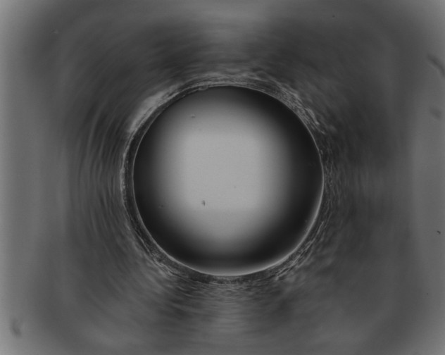 X0000091670340200709201224