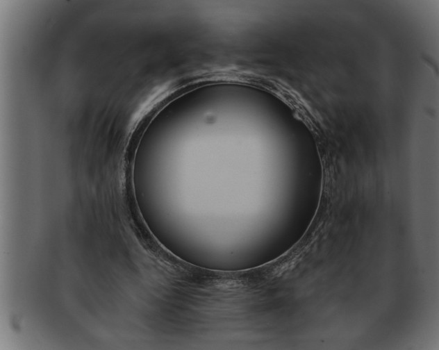 X0000091670344200709201224