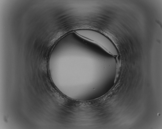 X0000091670345200709201224