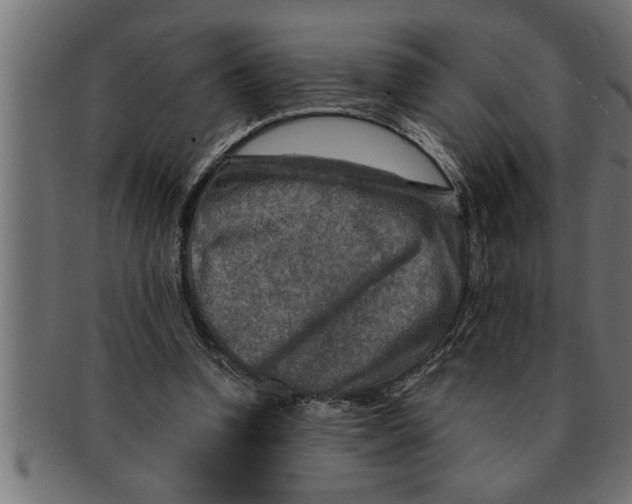 X0000091670346200709201224